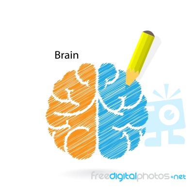 Creative Scribble Brain Sign Stock Image