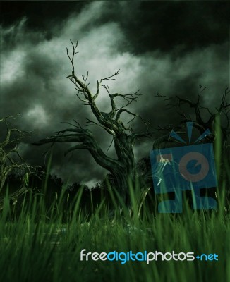 Creepy Forest,3d Illustration Stock Image