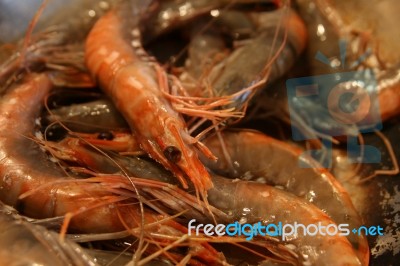 Crevettes Stock Photo