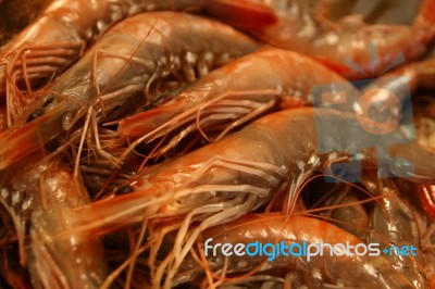 Crevettes Stock Photo