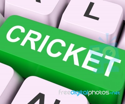 Cricket Key Means Sport Or Match
 Stock Image