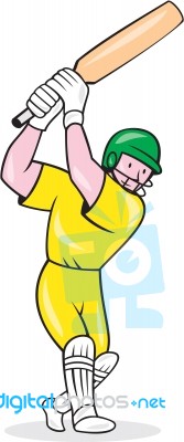 Cricket Player Batsman Batting Cartoon Stock Image