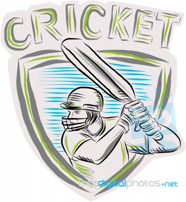 Cricket Player Batsman Batting Shield Etching Stock Image