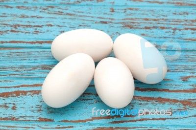 Crocodile Alligator Eggs Group Still Life Stock Photo