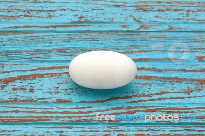 Crocodile Alligator One Egg Still Life Stock Photo