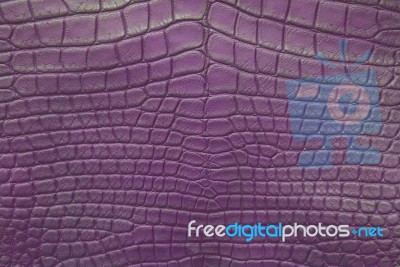 crocodile skin texture, Stock image