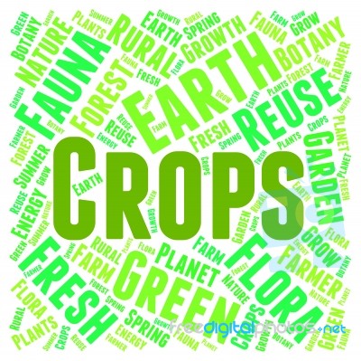 Crops Word Representing Words Harvests And Plant Stock Image