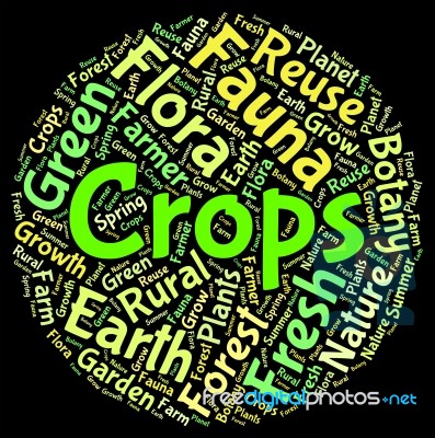 Crops Word Shows Harvests Grains And Grain Stock Image