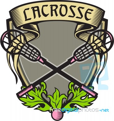 Crossed Lacrosse Stick Coat Of Arms Crest Woodcut Stock Image