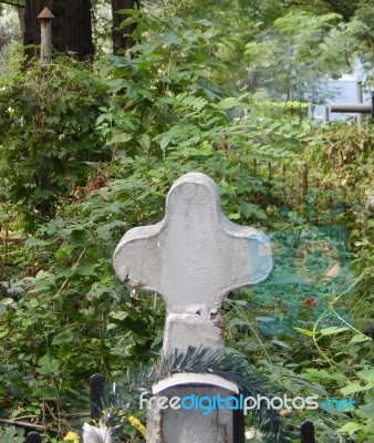 Crosses On Graves Cemetery And Fences   Stock Photo