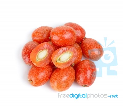 Croton Tiglium Isolated On The White Background Stock Photo