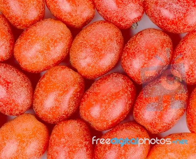 Croton Tiglium On The White Background Stock Photo