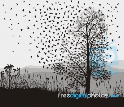 Crows In A Tree Chestnut Stock Image