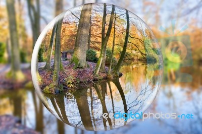 Crystal Ball Reflecting Autumn Forest With Tree Trunks Stock Photo