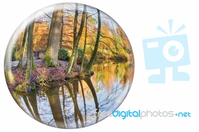 Crystal Ball Reflecting Autumn Tree Trunks On White Background Stock Photo