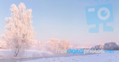 Crystal Tree Stock Photo