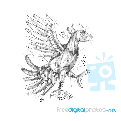 Cuauhtli Glifo Eagle Fighting Stance Tattoo Stock Image