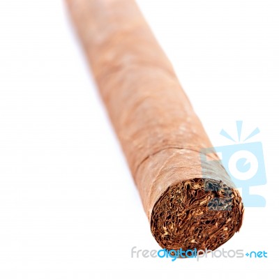 Cuban Cigar Stock Photo