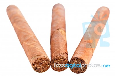 Cuban Cigar Stock Photo