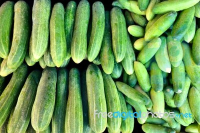 Cucumber Stock Photo