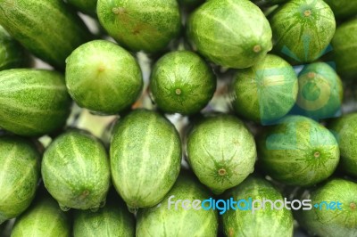 Cucumber Stock Photo