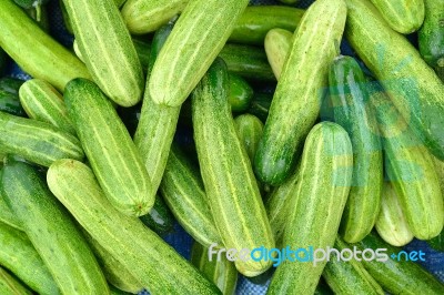 Cucumber Stock Photo