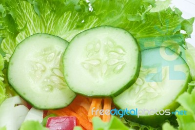 Cucumber Stock Photo