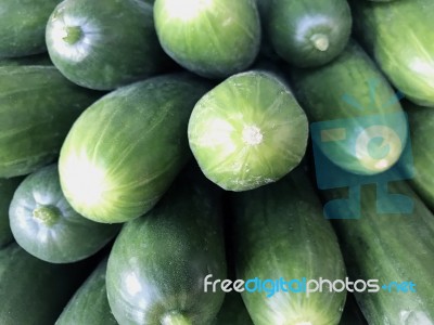 Cucurbit Stock Photo