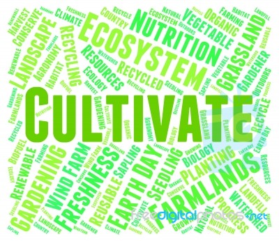 Cultivate Word Indicates Grows Farms And Cultivates Stock Image