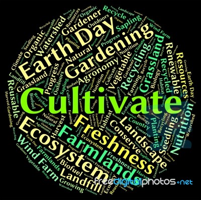 Cultivate Word Meaning Sows Farm And Text Stock Image