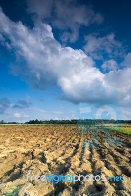 Cultivated Land Stock Photo