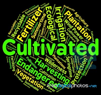 Cultivated Word Shows Grows Text And Farms Stock Image