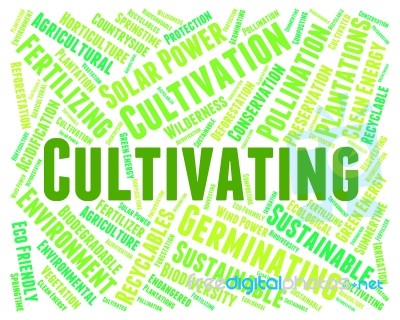 Cultivating Word Means Cultivate Text And Cultivates Stock Image