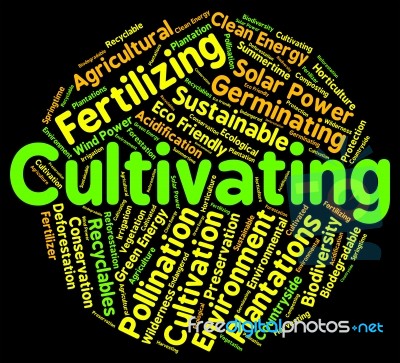 Cultivating Word Represents Grows Sowing And Sow Stock Image