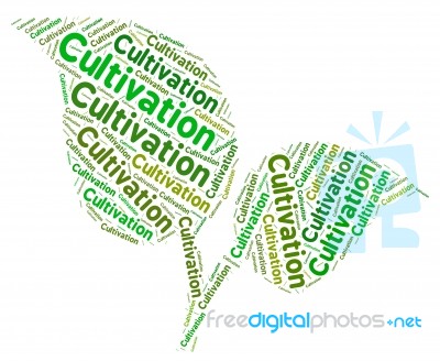 Cultivation Word Means Farms Farming And Cultivates Stock Image