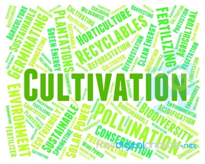 Cultivation Word Means Sow Grow And Farming Stock Image