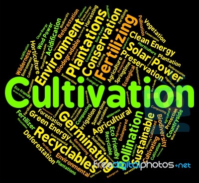 Cultivation Word Shows Growth Farm And Text Stock Image