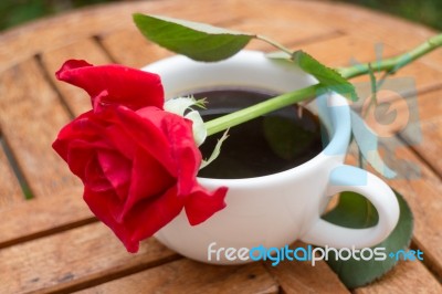 Cup Of Black Coffee In Home Garden Stock Photo