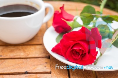 Cup Of Black Coffee In Home Garden Stock Photo