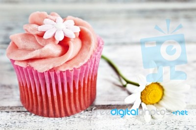 Cupcake Stock Photo