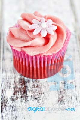 Cupcake Stock Photo