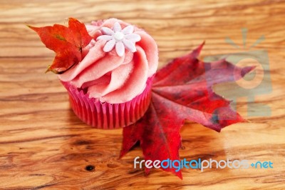 Cupcake Stock Photo