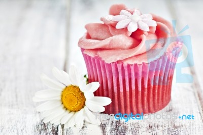 Cupcake Stock Photo