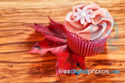 Cupcake Stock Photo