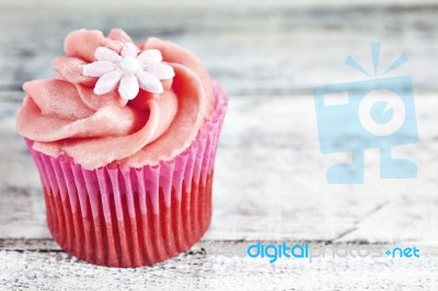 Cupcake Stock Photo