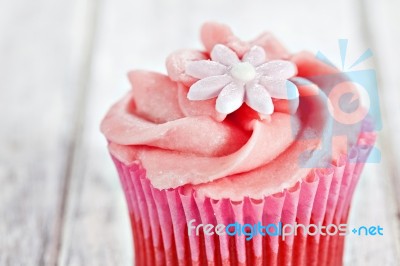 Cupcake Stock Photo