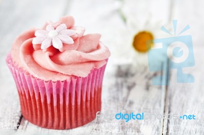 Cupcake Stock Photo