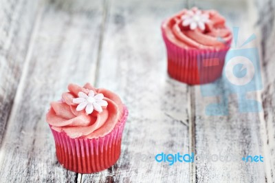 Cupcakes Stock Photo