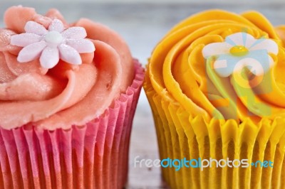 Cupcakes Stock Photo