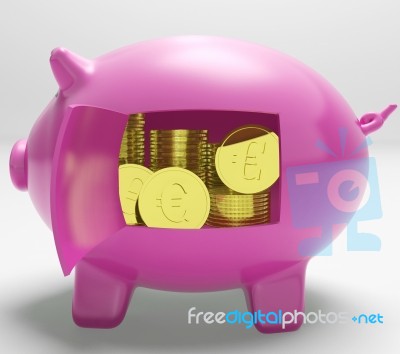 Currency Coins Piggy Shows Savings And Investment Stock Image